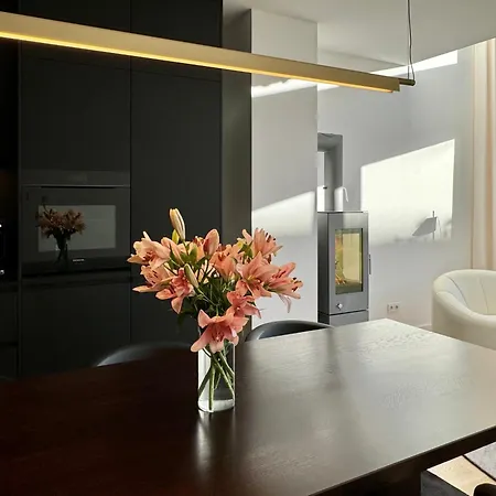 Townhouse Alaunpark ドレスデン